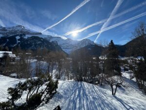 PPE ROCHER B MAGNIFIQUE  APPARTEMENT AU VILLAGE  AVEC UN COUVERT A VOITURE