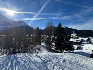 PPE ROCHER B MAGNIFIQUE  APPARTEMENT AU VILLAGE  AVEC UN COUVERT A VOITURE